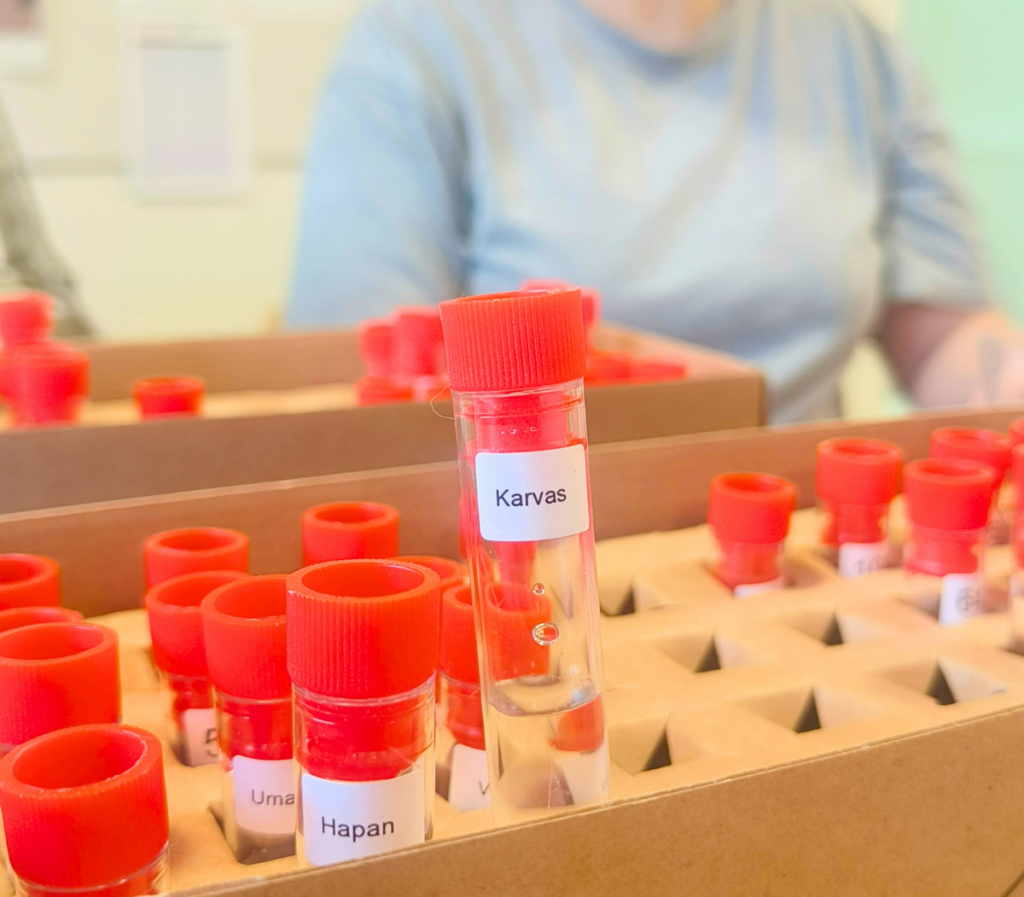 Arviointia voi opetella