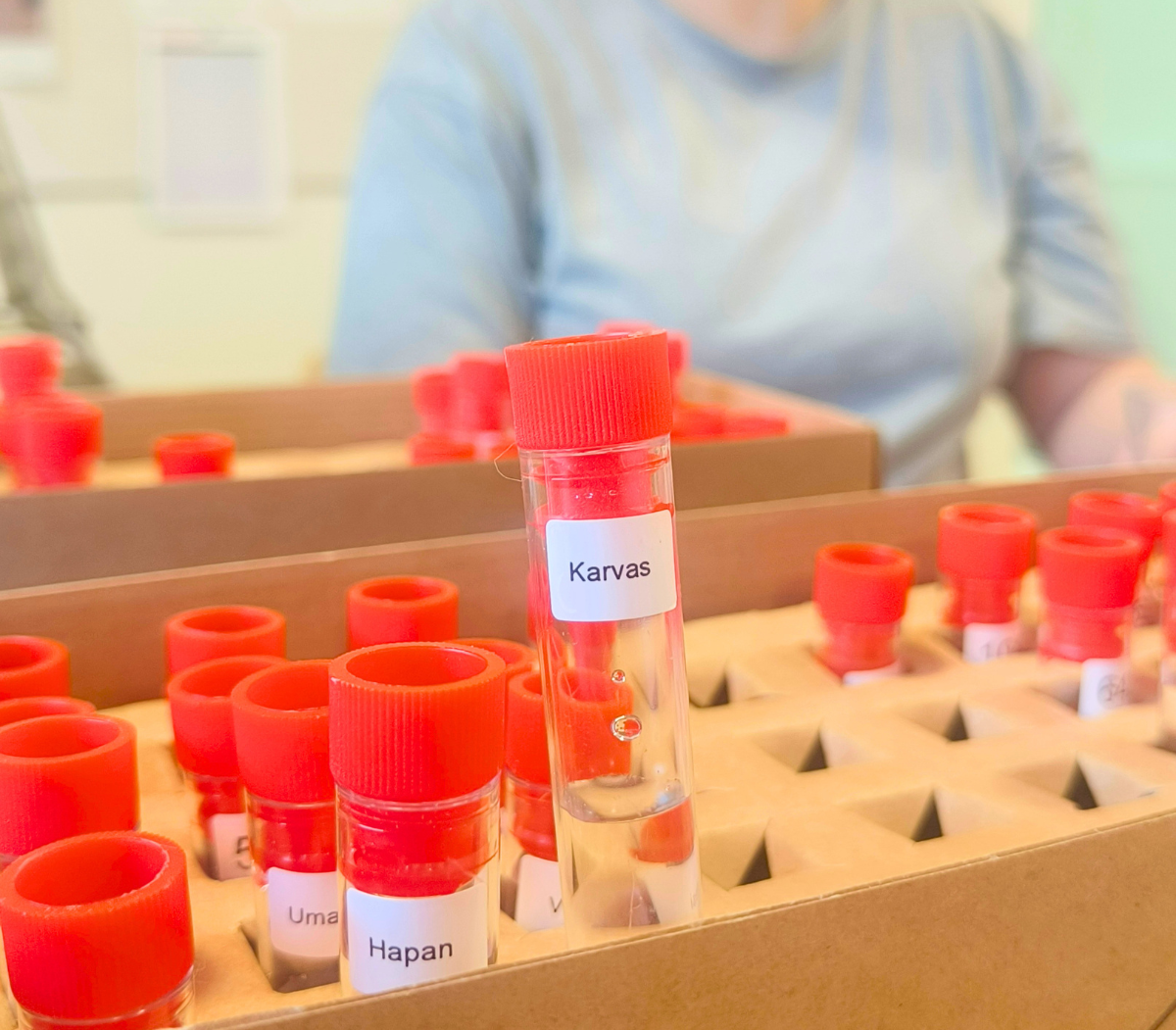 Arviointia voi opetella